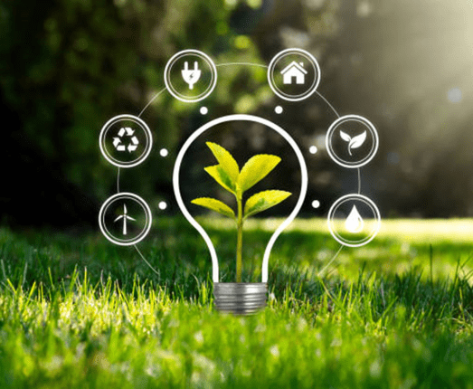 project management services